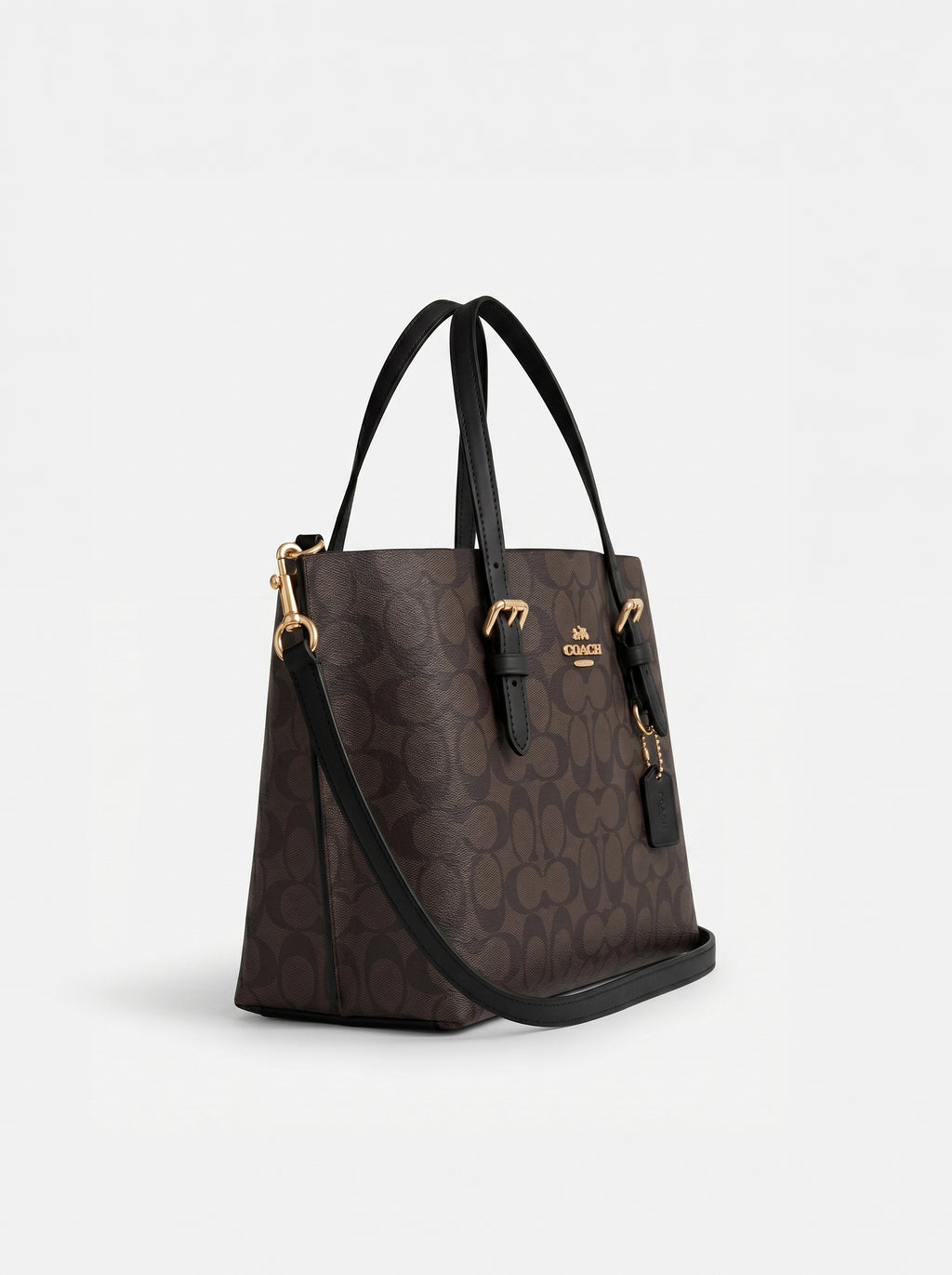 Coach Mollie Tote Bag in Signature S